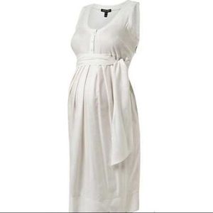 Isabella Oliver Maternity Pianna Dress